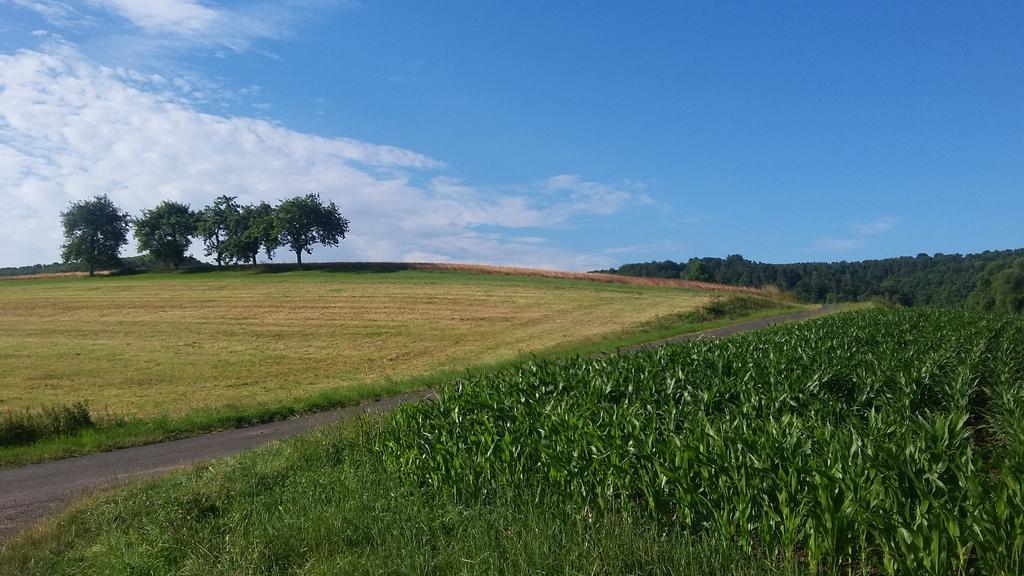 Landgasthof Zur Untermuehle Datterode Extérieur photo