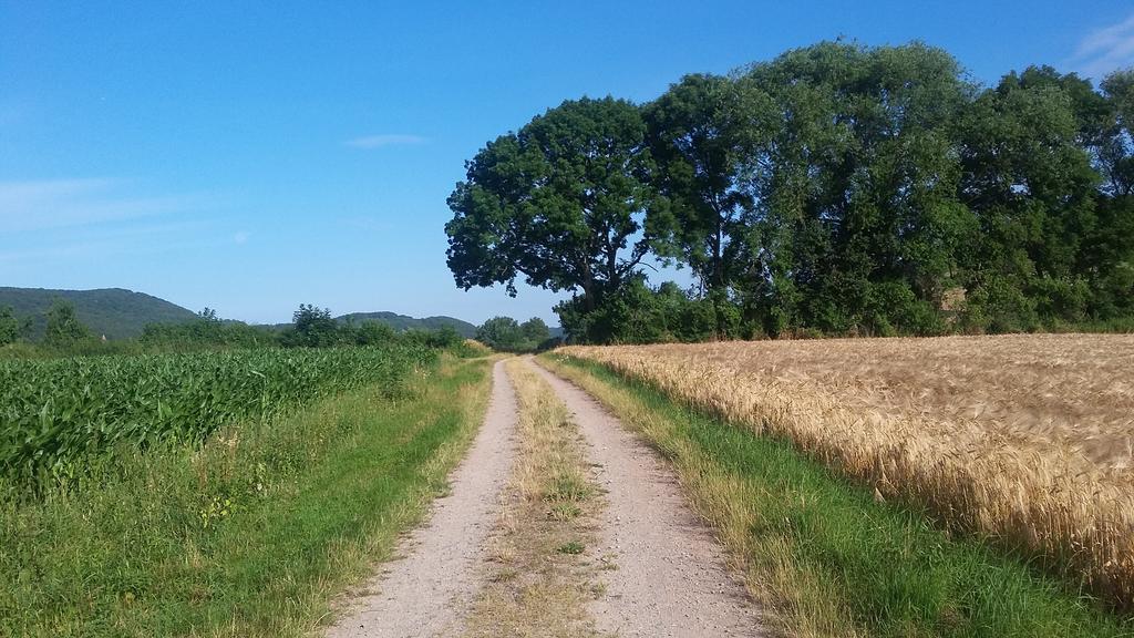 Landgasthof Zur Untermuehle Datterode Extérieur photo